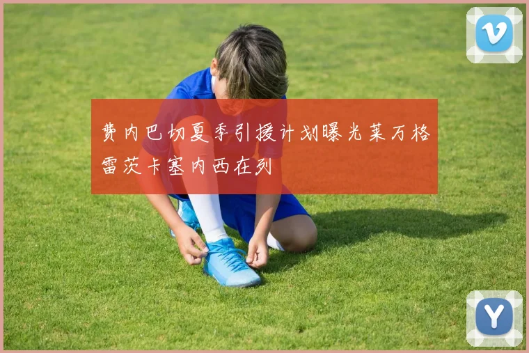 费内巴切夏季引援计划曝光莱万格雷茨卡塞内西在列
